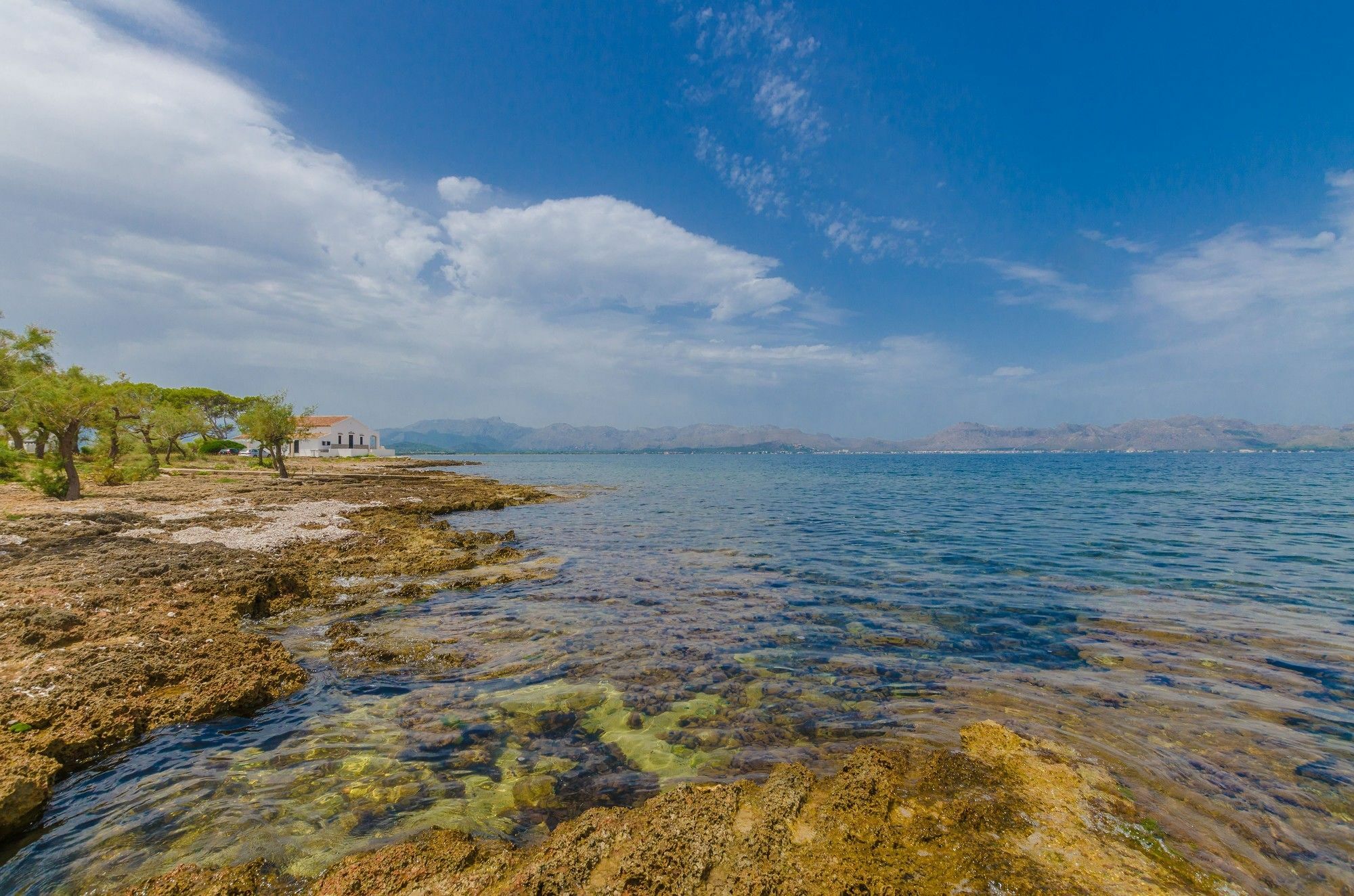 Rissaga Villa Alcudia  Eksteriør billede
